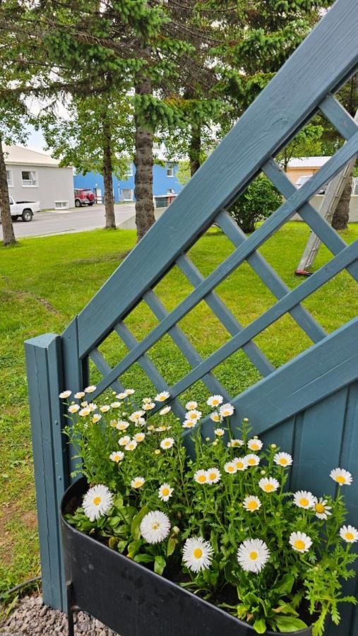 B&B Rooms Husavik 1 Bagian luar foto
